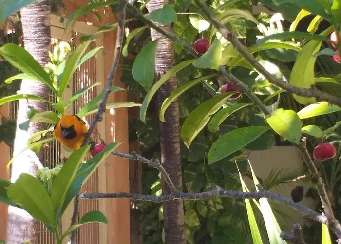 Sian Kaan - Wellness Oriented Playa del Carmen