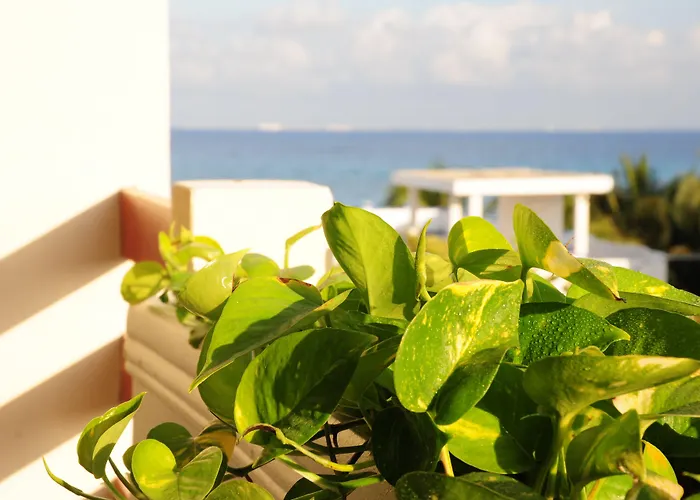 Sian Kaan - Wellness Oriented Hotel Playa del Carmen